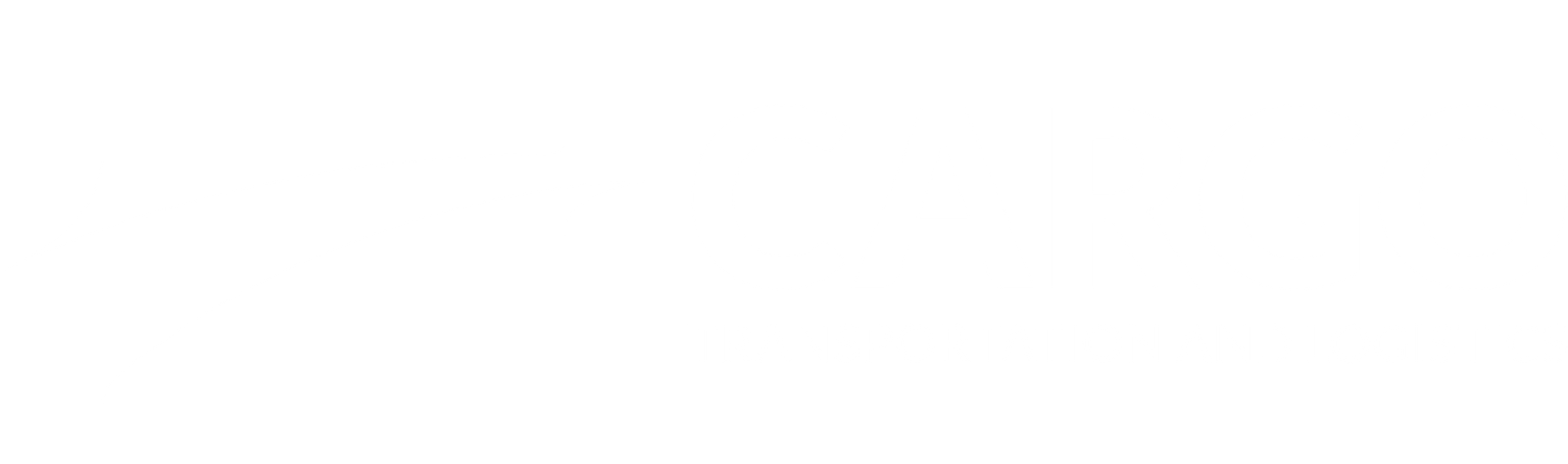 Transport Company